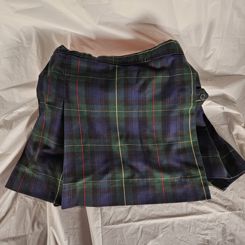 Blue and Green Knee-Length A-Line Skirt with Pleats